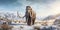 wild mammoth in snow mountains area generative AI