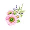 Wild meadow flower springtime decoration. Watercolor illustration. Spring tender poppy, daisy, lavender flowers