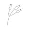 Wild meadow flowers. Twig with three buds. Vector doodle
