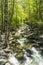 Wild Merced river in the Yosemite National Park