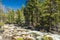 Wild Merced river in the Yosemite National Park