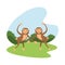 Wild monkeys couple animals nature icons