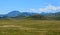 Wild Montana Grasslands