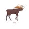 Wild moose elk isolated animal cartoon