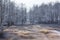 Wild Morrum river in snowy winter