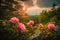 Wild Mountain Peonies at Springtime Sunrise, spring landscape, pink wild mountain peonies, picturesque rising sun, the