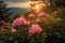 Wild Mountain Peonies at Springtime Sunrise, spring landscape, pink wild mountain peonies, picturesque rising sun, the