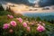 Wild Mountain Peonies at Springtime Sunrise, spring landscape, pink wild mountain peonies, picturesque rising sun, the