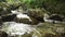 Wild Mountain River Close Up Abundant Clear Stream