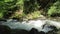 Wild mountain river landscape, water stream surrounded by greenery in motion