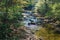 Wild Mountain Trout Stream