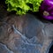 A wild multi-colored stone with a place for text lies on a black table next to fresh blue onions and lettuce