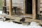 Wild multicolor tabby cat. A homeless cat sits on a wooden bench against the background of an old log wooden house.