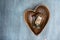 wild mushroom in heart shape plate on a wooden background, boletus