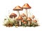 Wild mushrooms isolated on white, wild fungus with grass, ferns and moss, generated ai