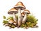 Wild mushrooms isolated on white, wild fungus with grass, ferns and moss, generated ai