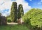 The wild nature in the archaeological excavations of Ostia Antica with two huge cypresses between bushes and ancient walls