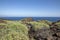 Wild nature with endemic flora, arid rocky landscape known as Malpais de Guimar, Tenerife, Canary Islands, Spain