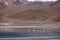 Wild nature landscape in Bolivian Andes