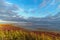 Wild nature landscape with salt lake, green and red grass and cloudy blue sky at sunrise