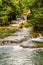 Wild nature near Negril beach