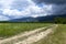 Wild nature. Spring picture. Dusty Road, Offroad, Corn Field.