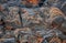 Wild nature stone rock texture volcanic. Abstract nature texture