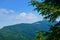 Wild nature, summer landscape in carpathian mountains, wildflowers and meadow, spruces on hills, beautiful cloudy sky