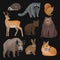 Wild northern forest animals set, hedgehog, raccoon, squirrel, deer, fox, bear cub, wild boar, hare vector Illustrations