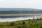 Wild Northern Yakut river Vilyui in Russia, flows through the tundra with overgrown banks on the background of spruce forests