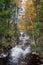 A wild Norwegian stream, during the picturesque autumn colors, near Rjukan