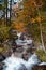 A wild Norwegian stream, during the picturesque autumn colors, near Rjukan