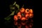 Wild orange rowanberry isolated on black glass