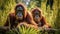 Wild Orangutans couple in Lush Jungle Habitat