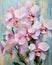 Wild orchid with sharp edges in pastel tones