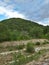 Wild panorama from mountains in Abruzzo, Italy. Cloudy sky and green trees