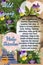 Wild pansy benefits herbalist notepage idea