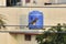 Wild pergrine falcon sitting on electric wire