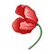 Wild poppy flower icon, cartoon style