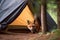 Wild red fox inspecting a camp tent in the forest