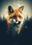 Wild red fox on wite background in wild nature. Fox design or graphic for t-shirt printing