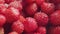 Wild red strawberries picked in the forest. Fresh vitamins in food. Close up. Pan.