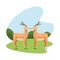 Wild reindeer couple animals nature icons