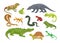 Wild reptile. Amphibian and lizard. Tropical reptilian. Crocodile and turtle. Iguana or gecko. Salamander animal. Cobra