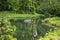 Wild rhino bathing in the river in Jaldapara National Park