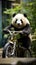 Wild Ride: Crazy Panda Takes the Wheel of a Bike