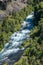 Wild river. Detail of desert life. Antuco volcano black volcano desert. Forest with trees on river bed near stream