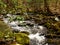 Wild river flowing through the Smokeys, TN