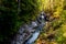 Wild river through the forest - Englishman river falls, Vancouver Island, BC