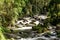 Wild river in the montains of Costa Rica